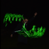AuraX dragon staff  - 2