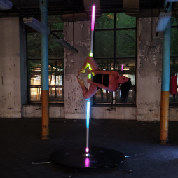 AuraX pole  - 11