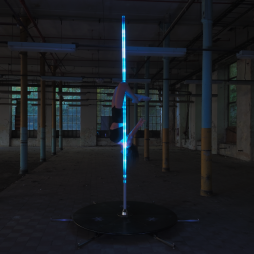 AuraX pole  - 14