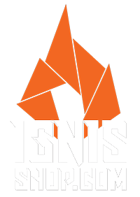 logo_ignisshop
